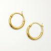 Stainless Steel Gold-Plated Hoop Earrings - Image 2