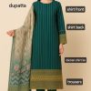 Graceful Chikankari 3Pc Outfit – Festive Wear - Image 3
