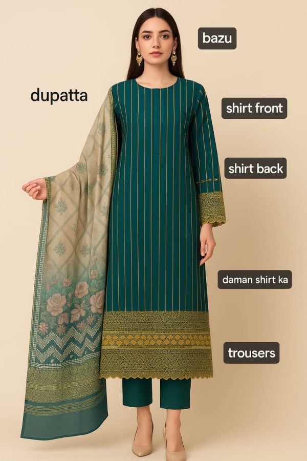 Graceful Chikankari 3Pc Outfit – Festive Wear