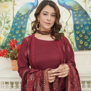 3 piece embroidered winter dress