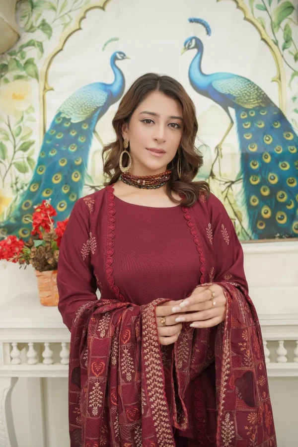 3 piece embroidered winter dress